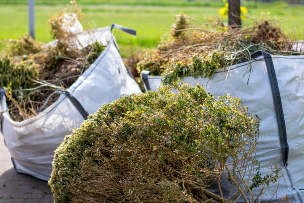 Best Attic Cleanout Services  in Maple Heights Lake Desire, WA